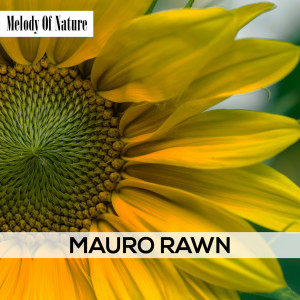 Listen to Hidden Lagoon song with lyrics from Mauro Rawn