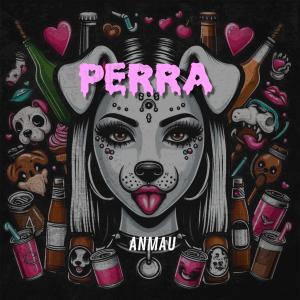 ดาวน์โหลดและฟังเพลง Perra (Explicit) พร้อมเนื้อเพลงจาก Anmau