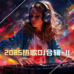 Album 2025热歌DJ合辑-II from 群星