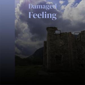 Listen to Damaged Feeling song with lyrics from Claudy Chiran