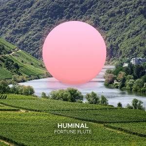 Listen to Fortune Flute song with lyrics from Huminal
