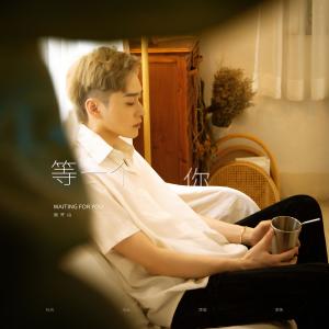 Listen to 等一个你 song with lyrics from 张齐山DanieL