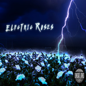 Listen to Electric Roses (feat. Sosa Sosicc & Syn Soundz) (Explicit) song with lyrics from Lamar Williams Jr.