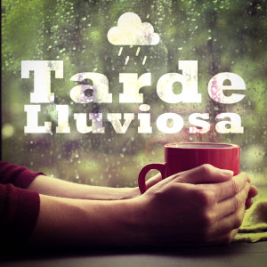 Various的專輯Tarde Lluviosa