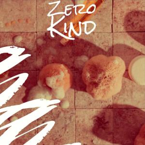 Various的专辑Zero Kind