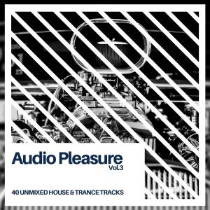 Various Artists的專輯Audio Pleasure Vol.3 (Radio Edits)