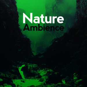 ดาวน์โหลดและฟังเพลง Calm Flow พร้อมเนื้อเพลงจาก Nature Ambience