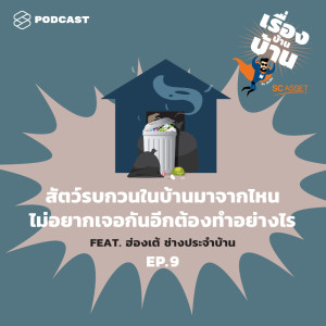 อัลบัม EP.9 สัตว์รบกวนในบ้านมาจากไหน ไม่อยากเจอกันอีกต้องทำอย่างไร Feat. ฮ่องเต้ ช่างประจำบ้าน ศิลปิน เรื่องบ้านบ้าน [THE STANDARD PODCAST]