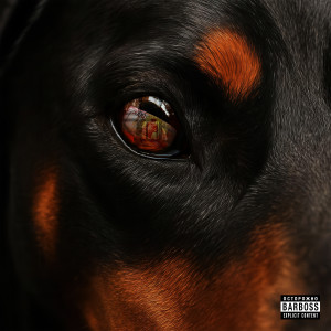 Album Платят (Explicit) from 