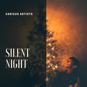Album Silent Night oleh Red Norvo and His Orchestra