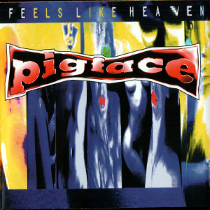 收聽Pigface的Fuck It Up (Did You Ever Get The Feeling?)歌詞歌曲