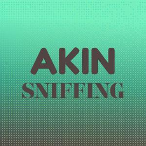 Various Artists的專輯Akin Sniffing