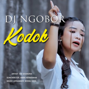Album DJ Ngobor Kodok oleh Evi Sandra