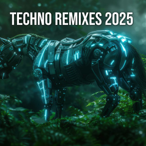 Various Artists的專輯Techno Remixes 2025 (Explicit)