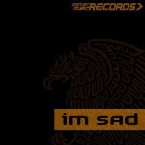 收聽Albrth G.的Im Sad (Original Mix)歌詞歌曲