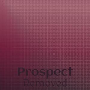 Various的专辑Prospect Removed