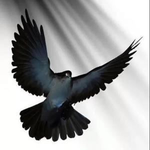 Listen to You took this love (Live) song with lyrics from Graham