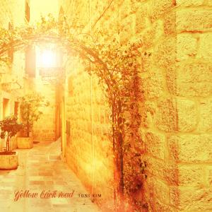 Listen to Immaculate cat song with lyrics from Toni Kim