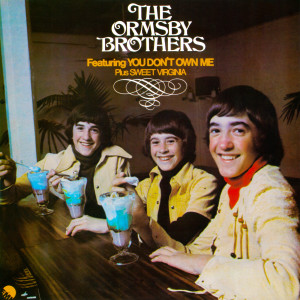 ดาวน์โหลดและฟังเพลง You Don't Own Me พร้อมเนื้อเพลงจาก The Ormsby Brothers