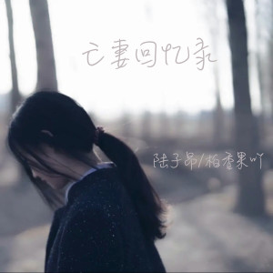 Dengarkan 亡妻回忆录 lagu dari 陆子昂 dengan lirik