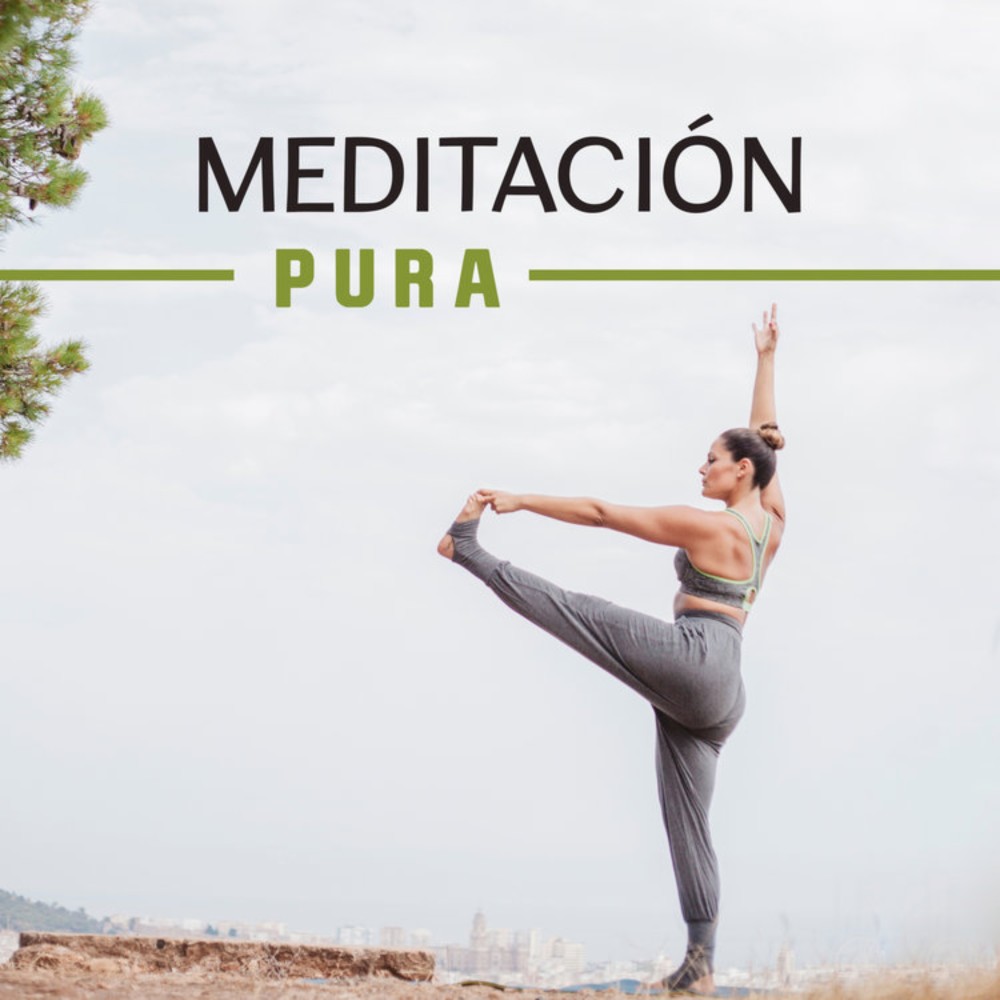 Meditación Pura