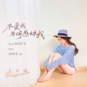 Listen to 不爱我为何感动我 (DJ翊轩版) song with lyrics from 王月园