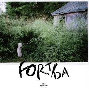 อัลบัม Fort/da ศิลปิน Andrew Cedermark