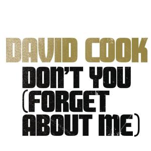 ดาวน์โหลดและฟังเพลง Don't You (Forget About Me) พร้อมเนื้อเพลงจาก David Cook