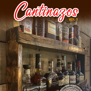 Listen to No Puedo Cambiar Mi Vida song with lyrics from El Gordito Country