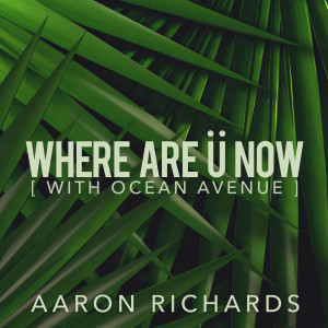 Listen to Where Are Ü Now (feat. Ocean Avenue) song with lyrics from Aaron Richards