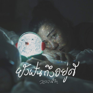 Listen to ยังฝันถึงอยู่ดี song with lyrics from Walnut Saitrip