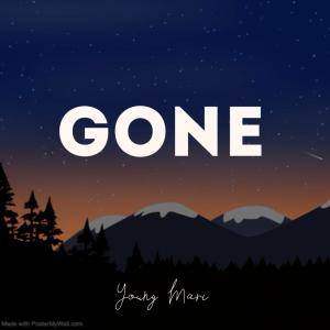 Album Gone (Explicit) from Young Mari