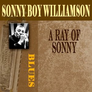 ดาวน์โหลดและฟังเพลง "99" พร้อมเนื้อเพลงจาก Sonny Boy Williamson