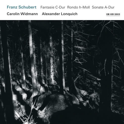 Schubert: Fantasia In C, For Violin And Piano, D.934 - Andante molto