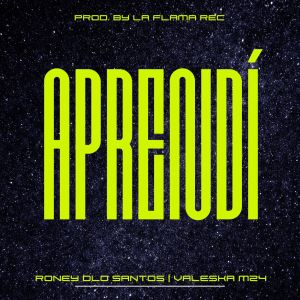 收聽Roney Dlo Santos的APRENDÍ歌詞歌曲