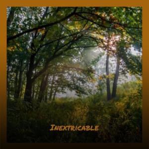 ดาวน์โหลดและฟังเพลง Facile Pamper พร้อมเนื้อเพลงจาก Elvy Folla