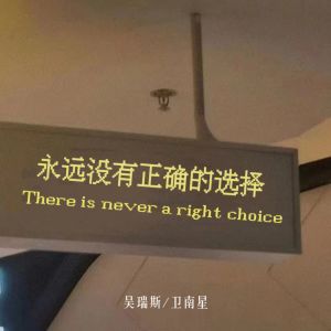 Album 永远没有正确的选择 from 吴瑞斯