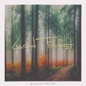 Listen to Lucid Forest song with lyrics from Skoliks