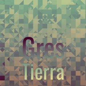 Album Gres Tierra oleh Various