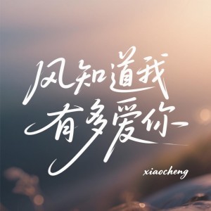 Album 风会告诉你我的爱 from 发财小橙