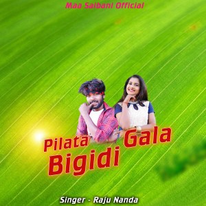 Raju Nanda的專輯Pila Ta Bigidi Gala
