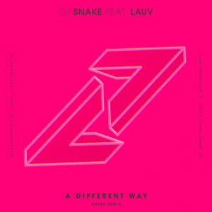 收聽DJ Snake的A Different Way (Kayzo Remix)歌詞歌曲