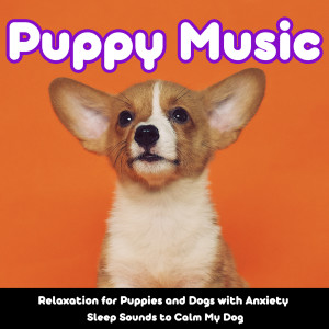 Listen to Relax My Puppies song with lyrics from Relaxmydog