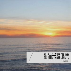 Listen to 漂洋过海来看你 (cover: 李宗盛) (完整版) song with lyrics from 猫猫米
