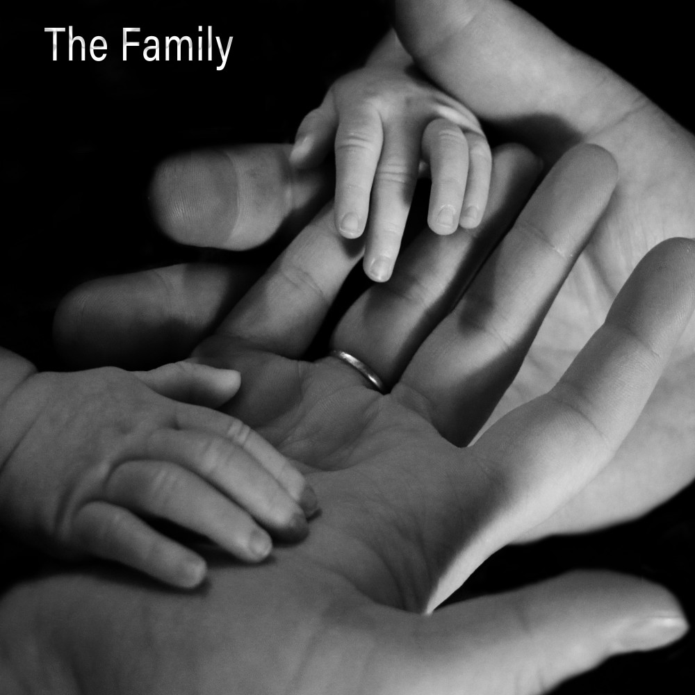 The Family