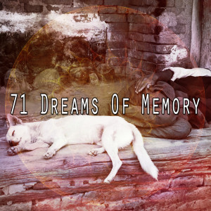 ดาวน์โหลดและฟังเพลง Bound by Bed พร้อมเนื้อเพลงจาก Smart Baby Lullabies