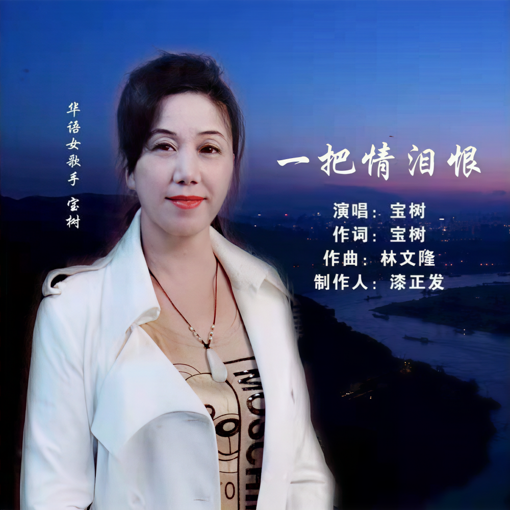 一把情泪恨 (伴奏)