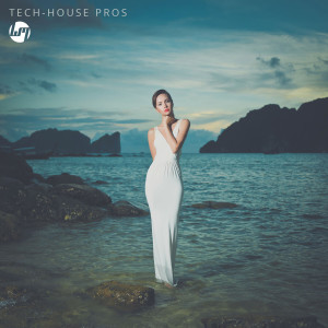 Various Artists的專輯Tech House Pros