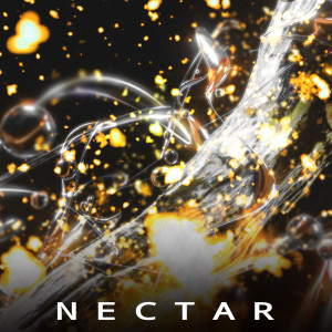 ดาวน์โหลดและฟังเพลง Nectar พร้อมเนื้อเพลงจาก Dinfinity