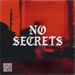 Bruno Martini的专辑NO SECRETS